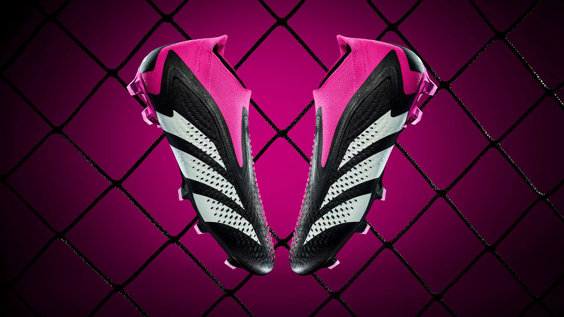 把恩师拉下 把恩师拉下